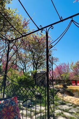 La Coulée Douce - Photo 37