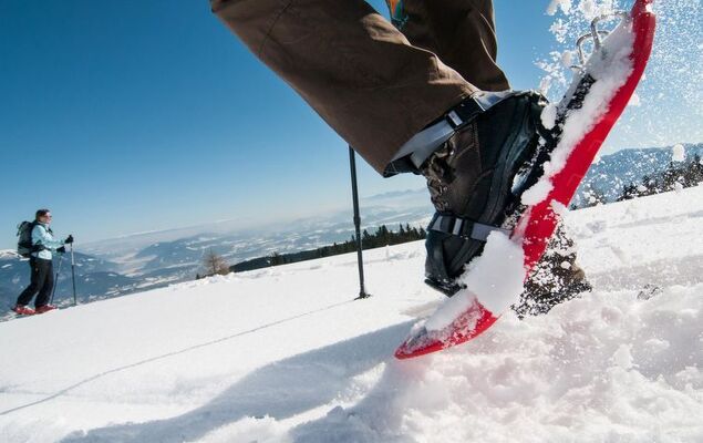 Seeblick alpe maritima Ski & See-Top 12 - Photo 29