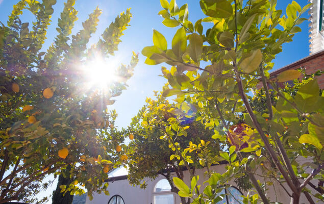 Nina Celi - Photo 28