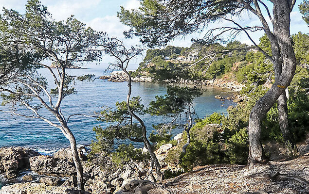 La Calanque d'Or - Photo 22