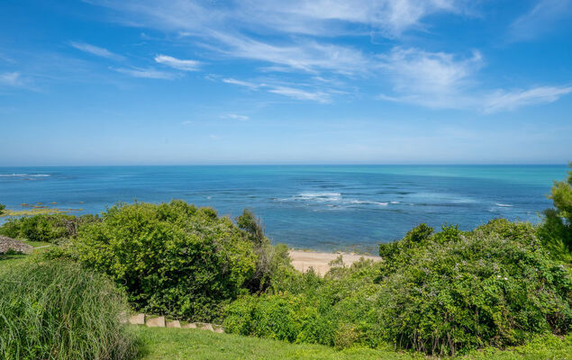 Le Fronton - Photo 20