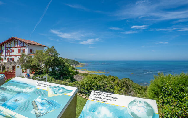 Le Fronton - Photo 22