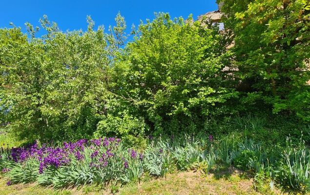 di Magnano - Photo 25