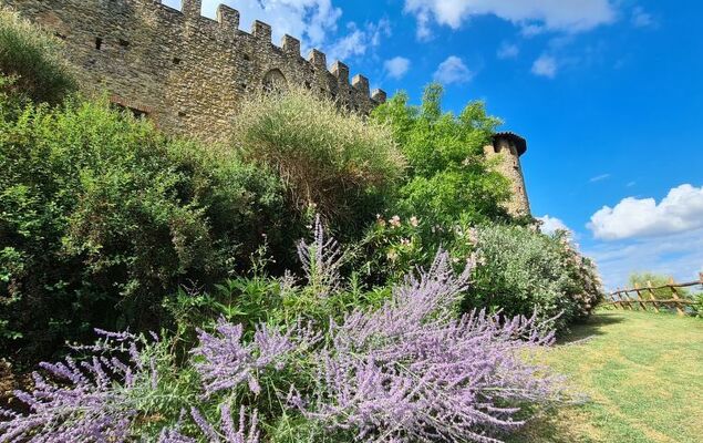 di Magnano - Photo 39