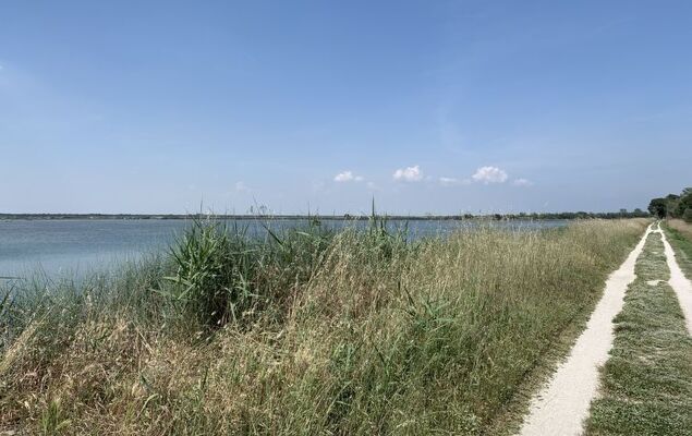 Casa delle Palme - Photo 36